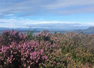 Knocknarea view